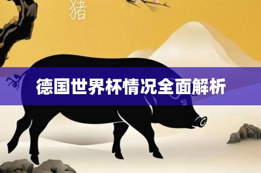 德国世界杯情况全面解析