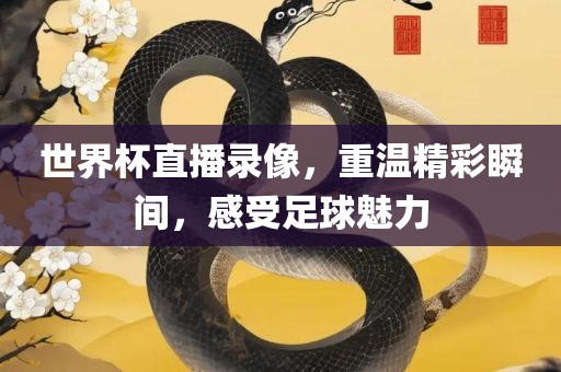 世界杯直播录像，重温精彩瞬间，感受足球魅力洪湖市顺升工程机械租赁有限公司