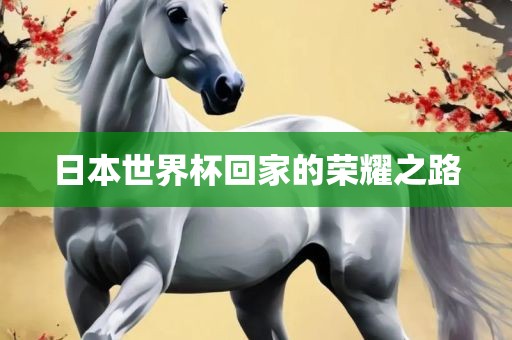 日本世界杯回家的荣耀之路