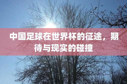 中国足球在世界杯的征途，期待与现实的碰撞