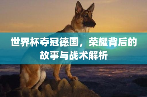 世界杯夺冠德国洪湖市顺升工程机械租赁有限公司，荣耀背后的故事与战术解析