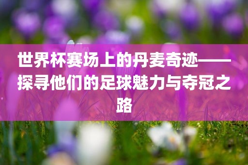 世界杯赛场上的丹麦奇迹——探寻他们的足球魅力与夺冠之路洪湖市顺升工程机械租赁有限公司