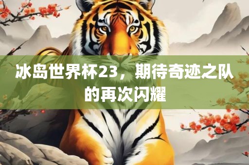 冰岛世界杯23，期待奇迹之队的再次闪耀