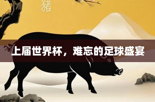 上届世界杯，难忘的足球盛宴