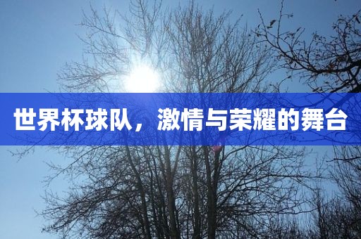 世界杯球队，激情与荣耀的舞台