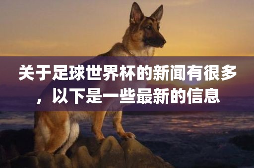 关于足球世界杯的新闻有很多，以下是一些最新的信息