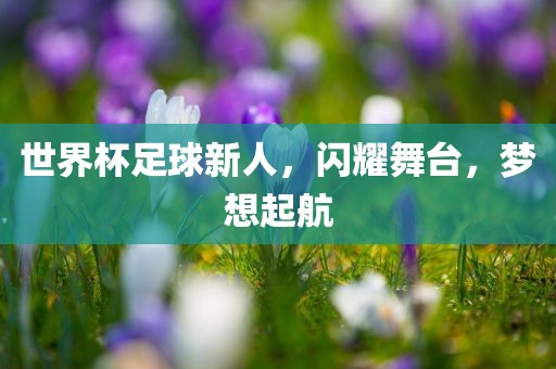 世界杯足球新人，闪耀舞台，梦想起航