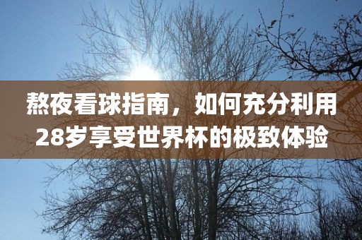 熬夜看球指南，如何充分利用28岁享受世界杯的极致体验洪湖市顺升工程机械租赁有限公司