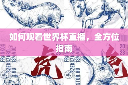 如何观看世界杯直播，全方位指南