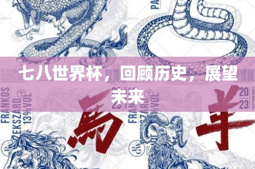 七八世界洪湖市顺升工程机械租赁有限公司杯，回顾历史，展望未来