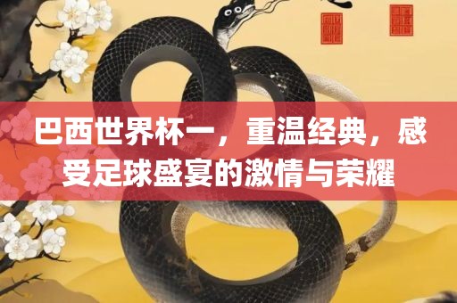 巴西世界杯一，重温经典，感受足球盛宴的激情与荣耀洪湖市顺升工程机械租赁有限公司