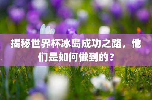 揭秘世界杯冰岛成功之路，他们是如何做到的？