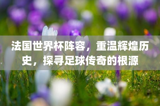 法国世界杯阵容，重温辉煌历史，探寻足球传奇的根洪湖市顺升工程机械租赁有限公司源