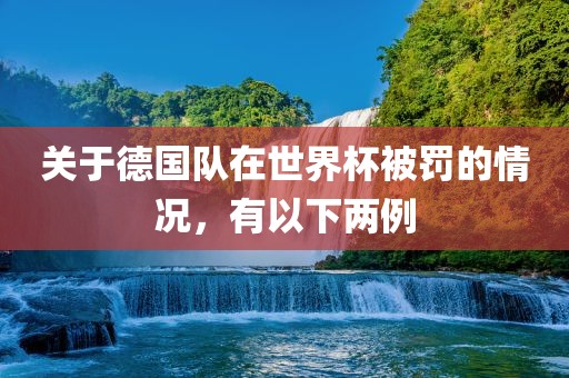 关于德国队在世界杯被罚的情况，有以下两例洪湖市顺升工程机械租赁有限公司