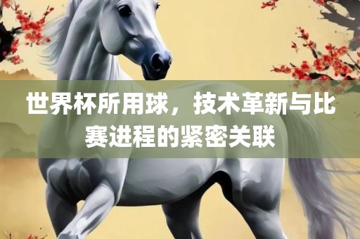 世界杯所用球，技术革新与比赛进程的紧密关联
