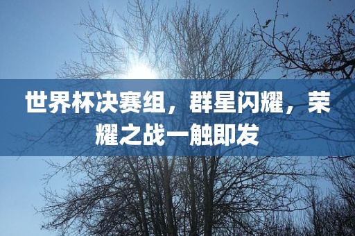 世界杯决赛组，群星闪耀，荣耀之战一触即发