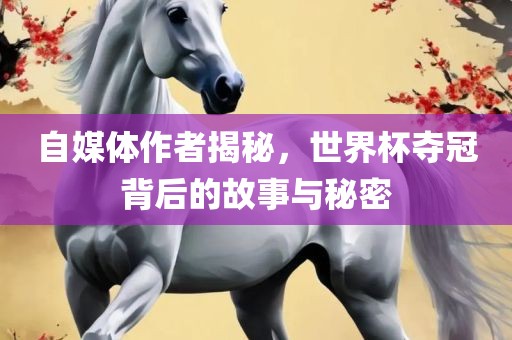 自媒体作者揭秘，世界杯夺冠背后的故事与秘密