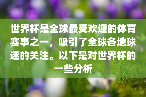 世界杯是全球最受欢迎的体育赛事之一，吸引了全球各地球迷的关注。以下是对世界杯的一些分析