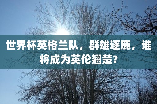世界杯英格兰队，群雄逐鹿，谁将成为英伦翘楚？洪湖市顺升工程机械租赁有限公司