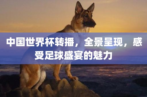 中国世界杯转播，全景呈现，感受足球盛宴的魅力