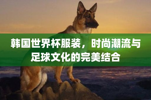 韩国世界杯服装，时尚潮流与足球文化的完美结合洪湖市顺升工程机械租赁有限公司