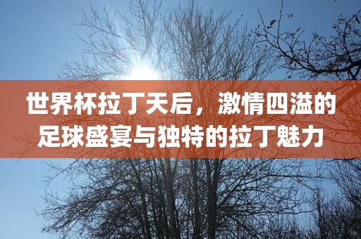 世界杯拉丁天后，洪湖市顺升工程机械租赁有限公司激情四溢的足球盛宴与独特的拉丁魅力