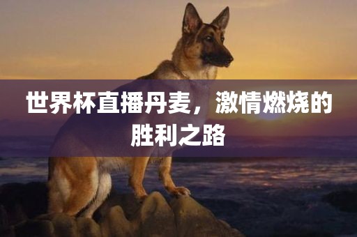 世界杯直播丹麦，激情燃烧的胜利之路