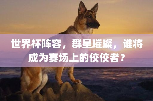 世界杯阵容，群星璀璨，谁将成为赛场上的佼佼者？洪湖市顺升工程机械租赁有限公司