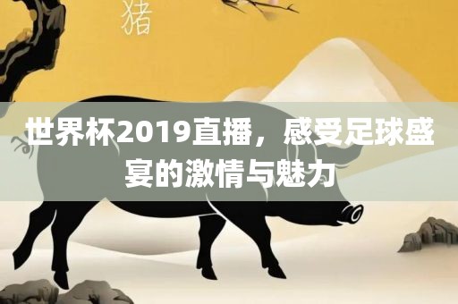 世界杯2019直播，感受足球盛宴的激情与魅力