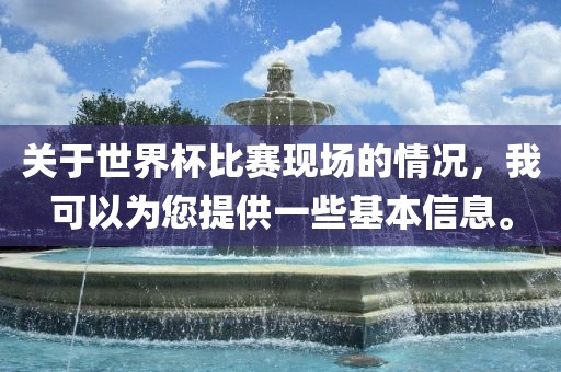 关于世界杯比赛现场的情况，我可以为您提供一些基本信息。洪湖市顺升工程机械租赁有限公司