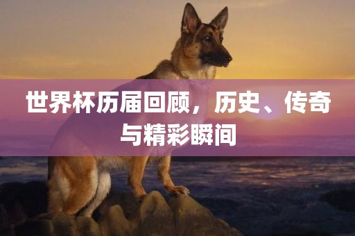 世界杯洪湖市顺升工程机械租赁有限公司历届回顾，历史、传奇与精彩瞬间