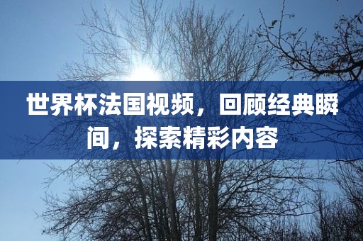 世界杯法国视频，回顾经典瞬间，探索精彩内容
