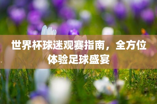 世界杯球迷观赛指南，全方位体验足球盛宴