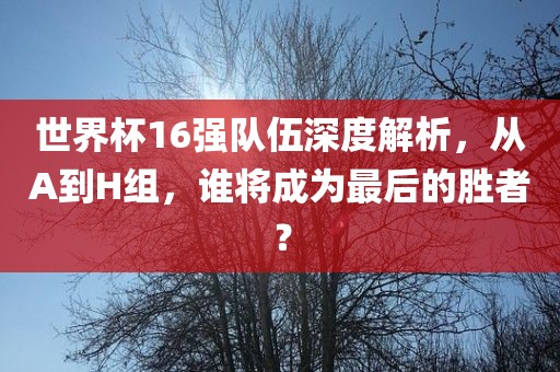 世界杯16强队伍深度解析，从A到H组，谁将成为最后的胜者？洪湖市顺升工程机械租赁有限公司