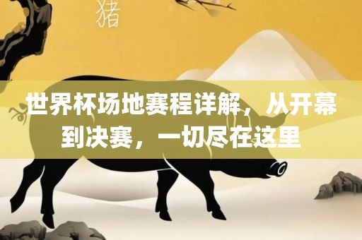 世界杯场地赛程详解，从开幕到决赛，一切尽在这里