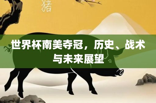世界杯南美夺冠，历史、战术与未来展望洪湖市顺升工程机械租赁有限公司