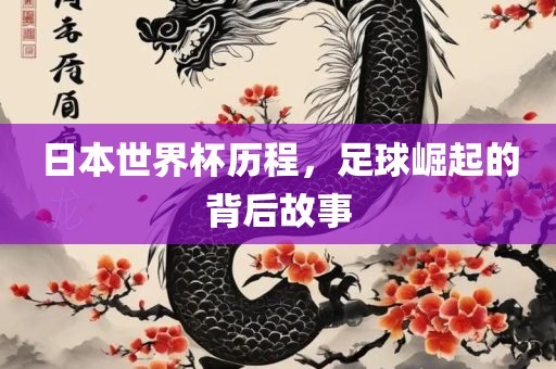 日本世界杯历程，足球崛起的背后故事