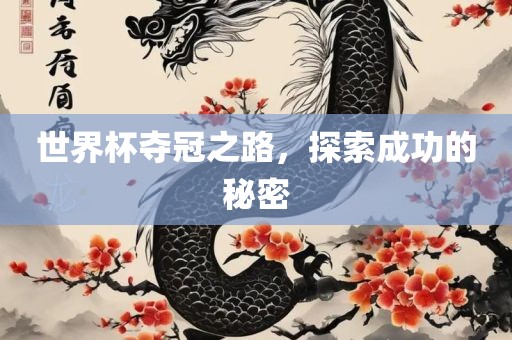 世界杯夺冠之路，探索成功的秘密