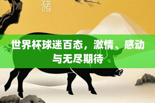世界杯球迷百态，激情、感动与无尽期待