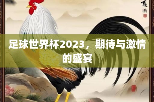 足球世界杯2023，期待与激情的盛宴