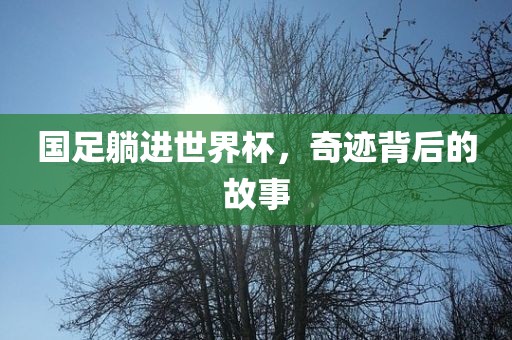 国足躺进世界杯，奇迹背后的故事