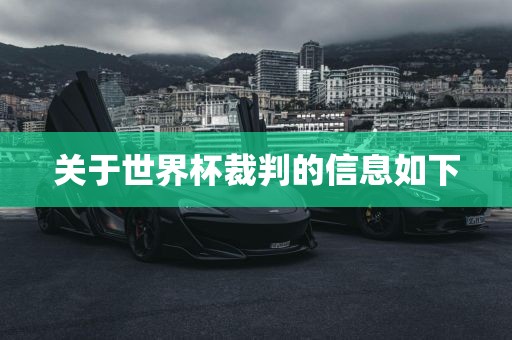 关于世界杯裁判的信息如下