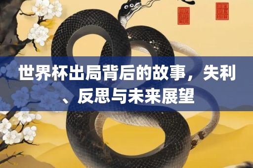 世界杯出局背后的故事，失利、反思与未来展望