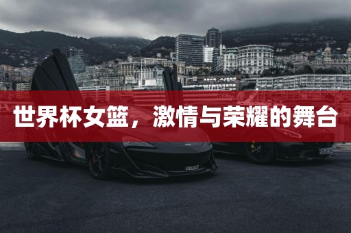 世界杯女篮，激情与荣耀的舞台洪湖市顺升工程机械租赁有限公司