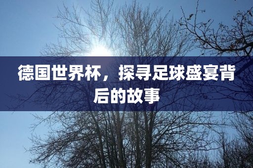 德国世界杯，探寻足球盛宴背后的故事