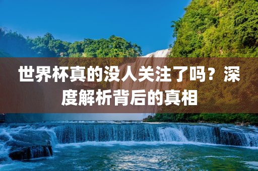 世界杯真的没人关注了吗？深度解析背后的真相洪湖市顺升工程机械租赁有限公司