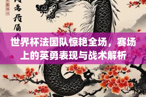 世界杯法国队惊艳全场，赛场上的英勇表现与战洪湖市顺升工程机械租赁有限公司术解析