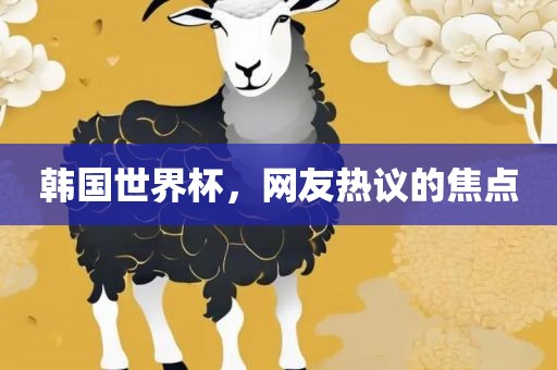 韩国世界杯，网友热议的焦点