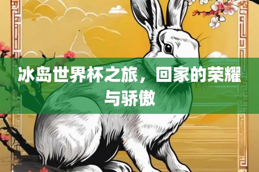 冰岛世界杯之旅，回家的荣耀与骄傲