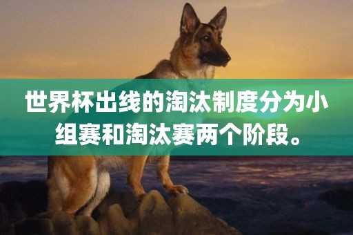 世界杯出线的淘汰制度分为小组赛和淘汰赛两个阶段。洪湖市顺升工程机械租赁有限公司